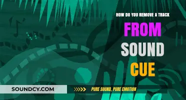 Efficiently Removing Tracks from Sound Cues: A Step-by-Step Guide