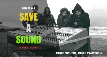 Mastering Sound Preservation: Techniques to Save and Store Audio Effectively