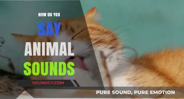 How to Say Animal Sounds in Different Languages: A Fun Guide