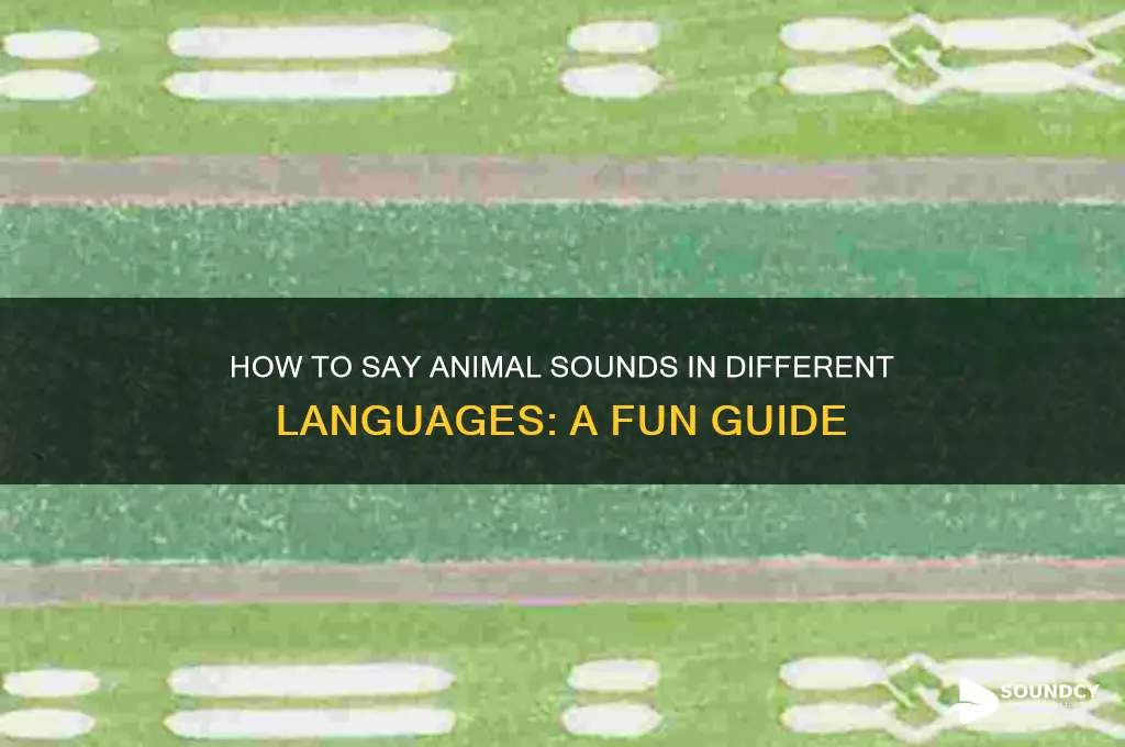 how do you say animal sounds