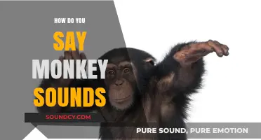 Mastering Monkey Sounds: A Guide to Mimicking Their Unique Vocalizations