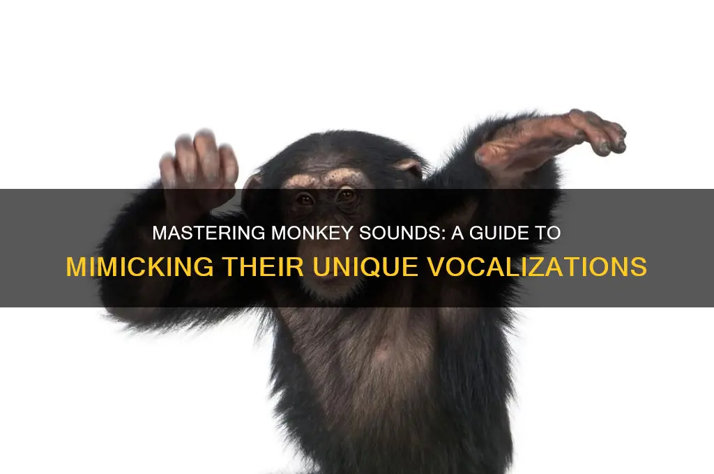 how do you say monkey sounds