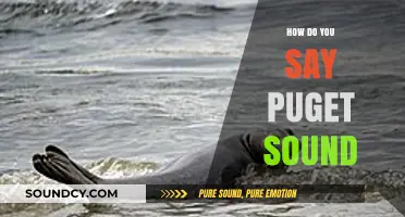 Mastering the Pronunciation: How to Say Puget Sound Correctly