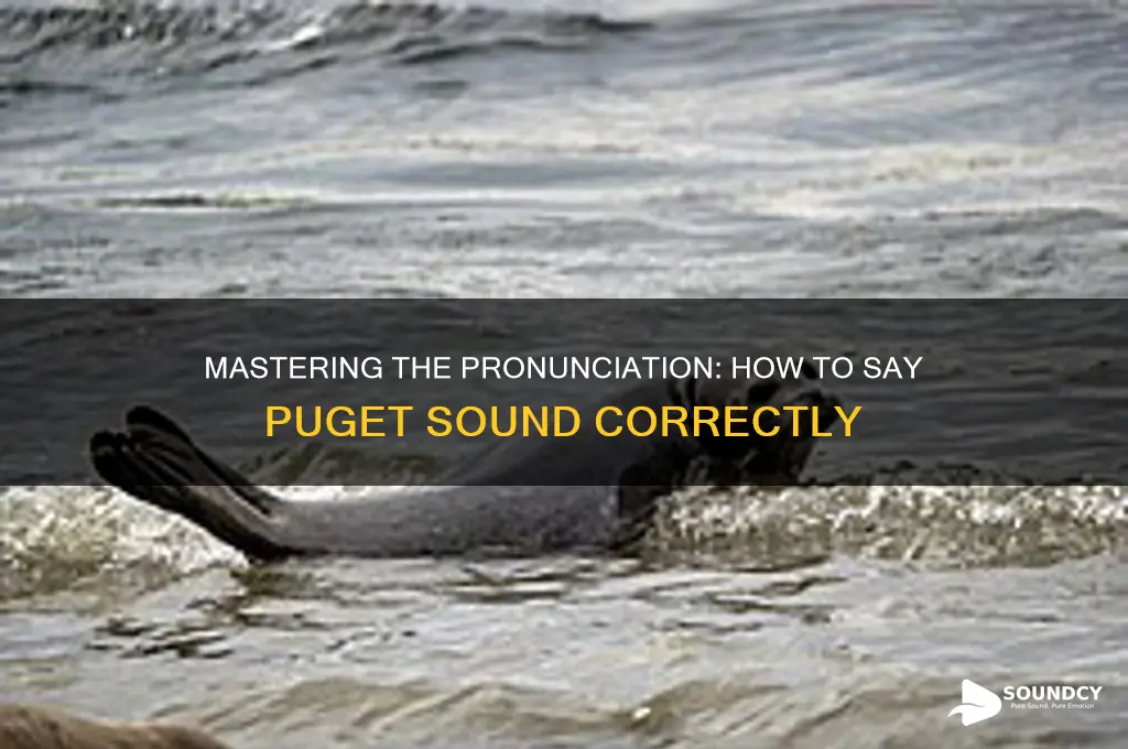how do you say puget sound