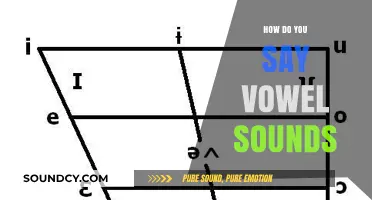 Mastering Vowel Sounds: A Comprehensive Guide to Pronunciation Techniques