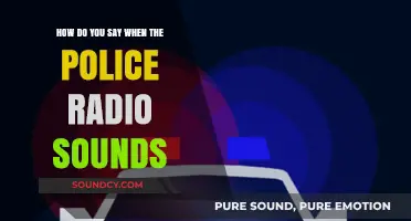 Decoding Police Radio Sounds: Understanding the Language of Law Enforcement