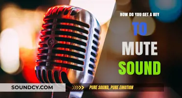 Quickly Mute Your Sound: Setting a Custom Keyboard Shortcut