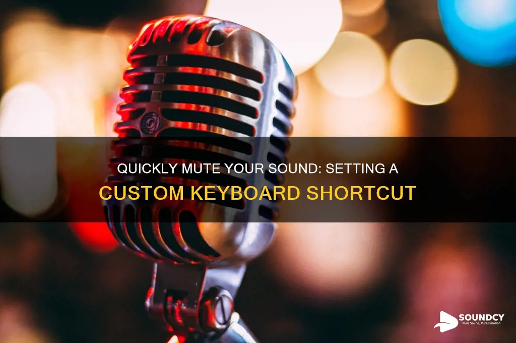 how do you set a key to mute sound