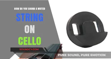 Mastering Muted Cello Strings: Techniques for Unique Sound Effects