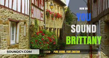 Mastering the Brittany Accent: Tips to Sound Authentically French
