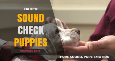 Mastering Puppy Sound Checks: Essential Tips for Healthy, Happy Pups