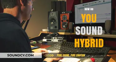 Mastering Hybrid Sound: Techniques to Blend Acoustic and Digital Audio Seamlessly