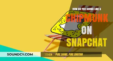 Master the Chipmunk Voice: Snapchat's Hilarious Voice Filter Guide