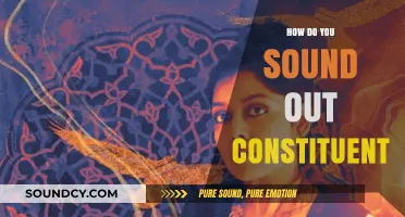 Mastering Pronunciation: How to Sound Out Constituent with Confidence