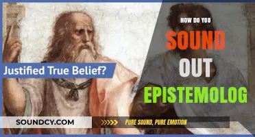 Sounding Out Epistemology: Unraveling the Study of Knowledge and Belief