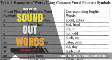 Decoding Words: Strategies for Reading Aloud