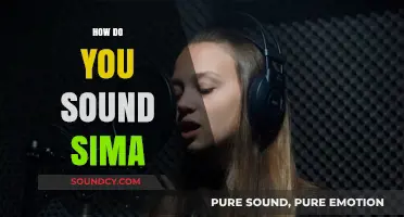 Mastering Sima's Voice: Techniques to Sound Like Her Authentically