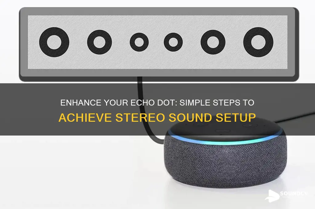 how do you stereo sound from an echo dot