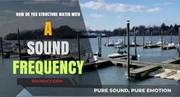 Harmonizing Water: Structuring with Sound Frequency Techniques Explained