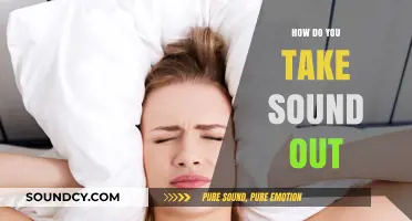 Effective Techniques to Extract and Remove Sound from Any Media
