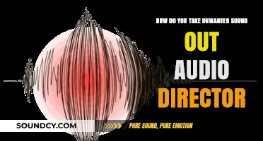 Effective Techniques to Remove Unwanted Noise from Audio Recordings