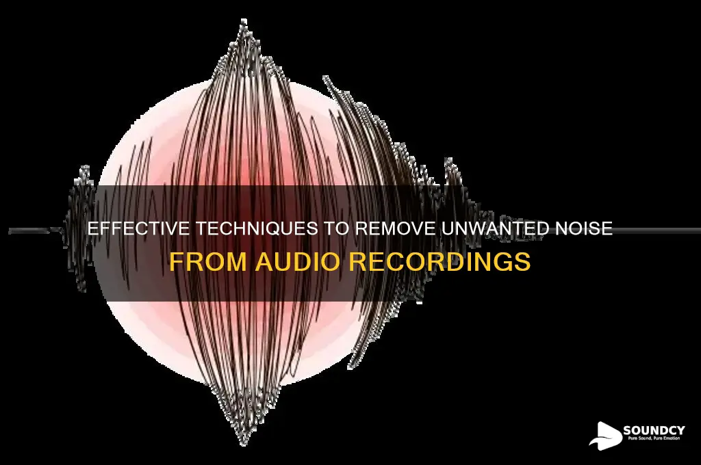 how do you take unwanted sound out audio director