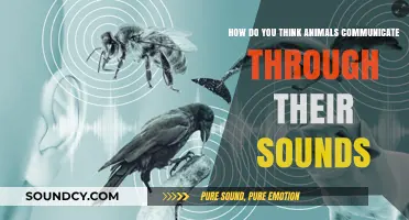 Unraveling the Mystery: How Animals Communicate Through Their Sounds