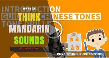 The Unique Melody of Mandarin: A Sonic Exploration of Its Tones