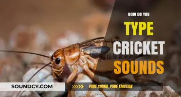 Mastering the Art of Typing Cricket Sounds: Creative Techniques and Tips