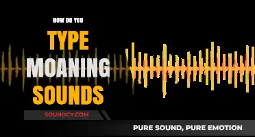 Typing Moaning Sounds: Creative Techniques for Expressing Vocal Pleasures Online