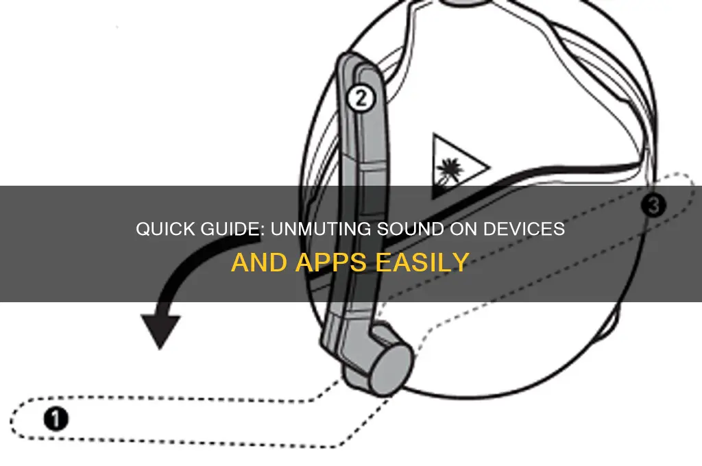how do you unmute the sound