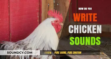 Mastering Clucks and Chirps: How to Write Chicken Sounds Accurately