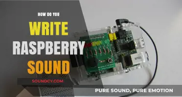 Mastering Raspberry Pi Sound Writing: A Comprehensive Guide for Beginners