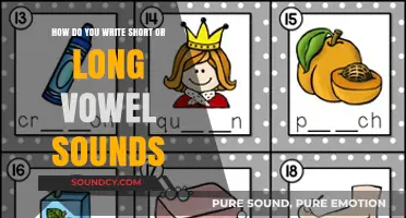 Mastering Vowel Sounds: Tips for Writing Short and Long Vowels Clearly