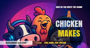 Crafting Clucks: How to Write the Sound a Chicken Makes