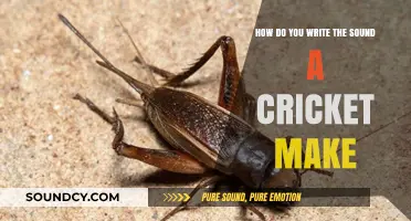 Crafting Cricket Sounds: Creative Writing Tips for Chirping Noises