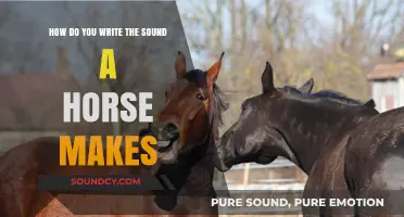 Crafting Equine Sounds: How to Write a Horse's Whinny and Neigh