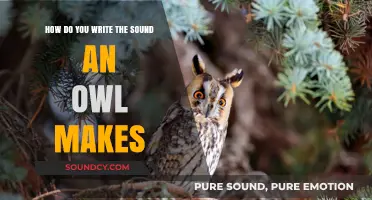 Crafting the Perfect Hoot: Writing the Sound an Owl Makes