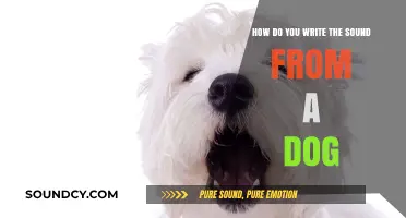 Capturing Canine Sounds: Writing the Unique Bark of a Dog