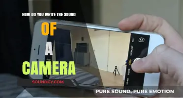 Capturing Camera Sounds: Creative Writing Techniques for Photography Effects
