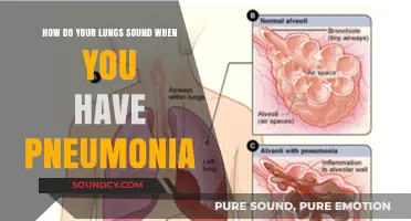 Pneumonia's Breath Sounds: What Your Lungs Reveal During Infection