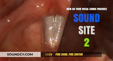 Unveiling the Science: How Vocal Cords Create Sound on Site 2