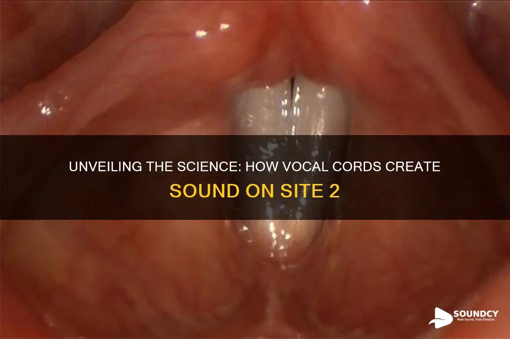 how do your vocal cords produce sound site 2