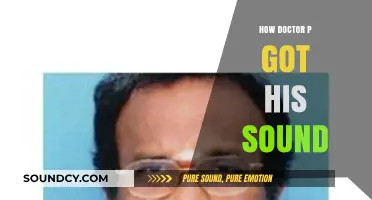 Unveiling Doctor P's Signature Sound: A Journey Through His Unique Production Style