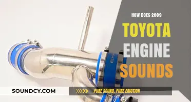 Exploring the Distinct Sound of a 2009 Toyota Engine
