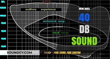 Understanding the Audible Impact: What Does 40 dB Sound Like?
