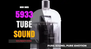 Exploring the Warm, Vintage Sound of the 5933 Tube Amplifier