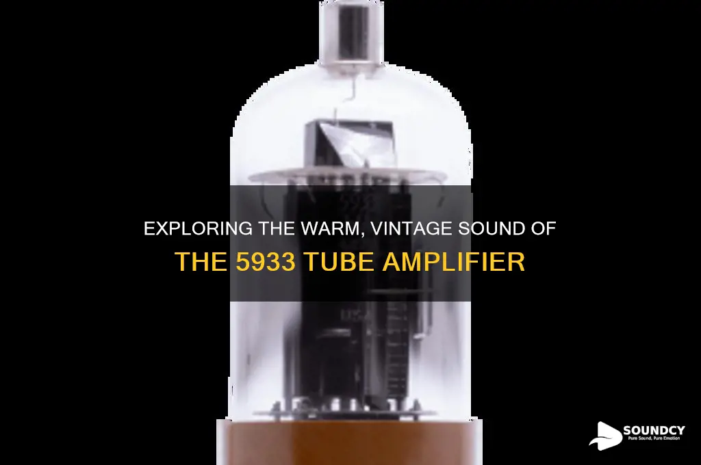 how does 5933 tube sound
