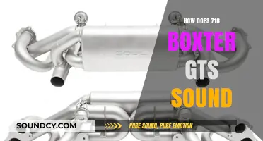 Experience the Thrilling Exhaust Note of the Boxster GTS 718