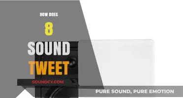 Exploring the Impact and Meaning Behind the 8-Sound Tweet Phenomenon